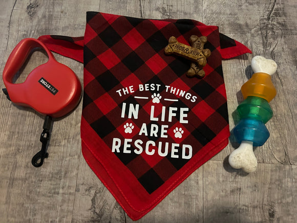 Best things are rescued