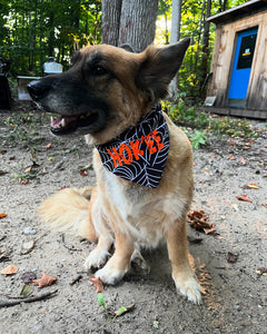 Halloween bandana