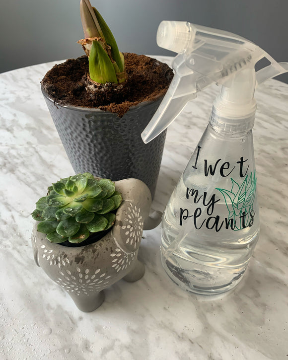 I wet my plants